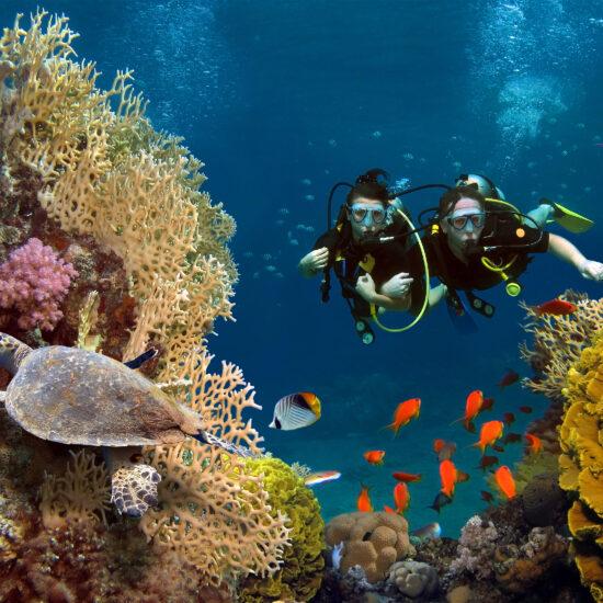 6 day Cairo and Hurghada tour package - Hurghada Red Sea Activities