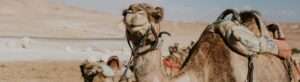 Excepcional Itinerario de 6 Días en Egipto