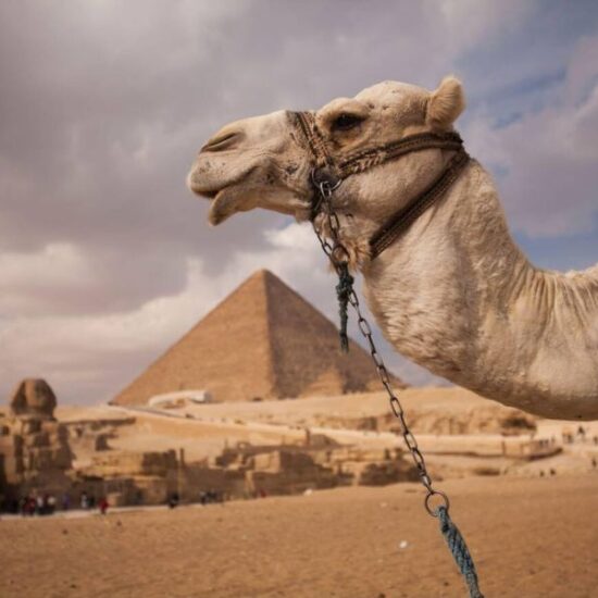 Viaje a El Cairo de 4 días todo incluido - Tour de 4 Días en El Cairo - Egypt Tours Group (ES)