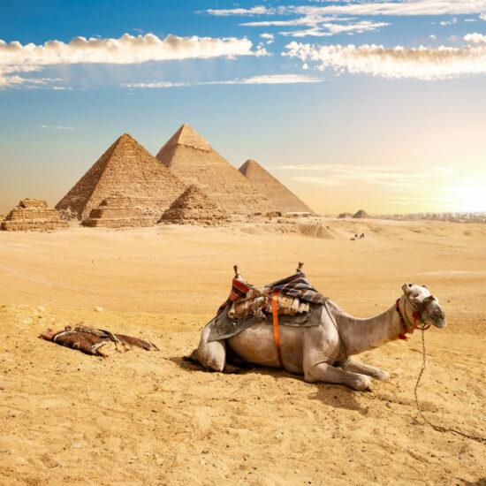 Giza Pyramids and Memphis Tour from Sokhna Port - Pyramids of Giza