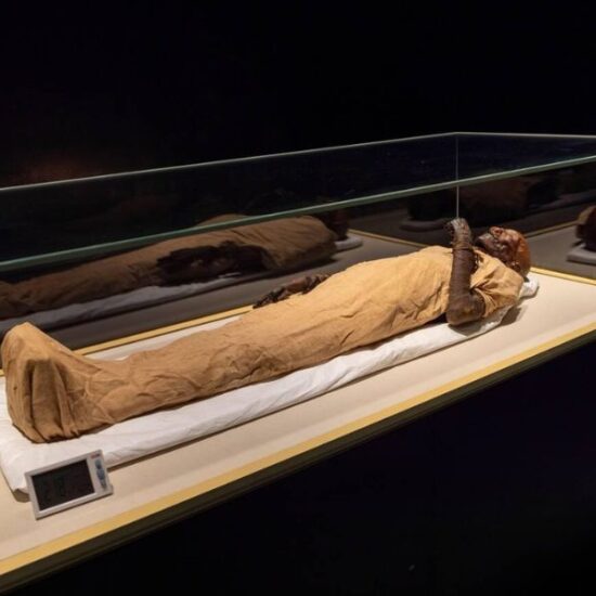 Excursión al Museo Nacional de la Civilización Egipcia en El Cairo - Egypt Tours Group (ES)