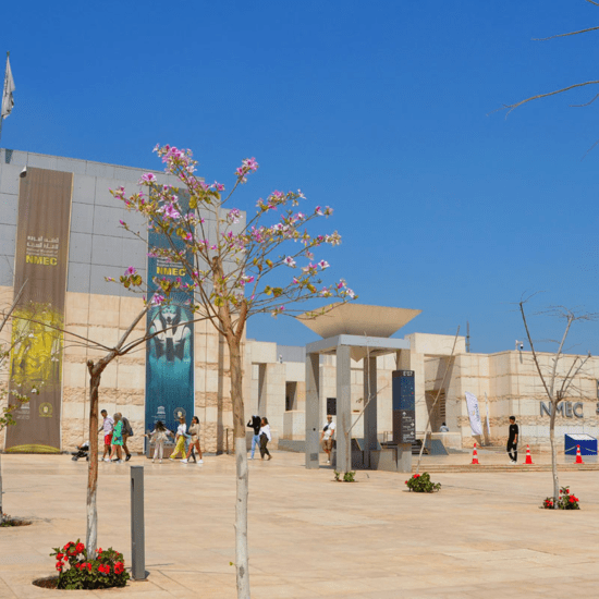 NMCEC's Cultural Journey - Tour Egypt's Civilization - Half Day Tour to the National Museum of Egyptian Civilization