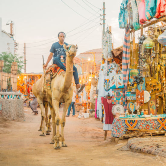 Aswan's Nubian Village Tour - A Cultural Adventure