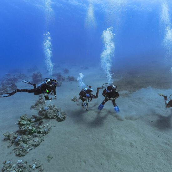 Image of Scuba Diving in Hurghada for Your Scuba Diving in Hurghada