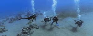 Scuba Diving in Hurghada – 2 Dives Red Sea Adventure
