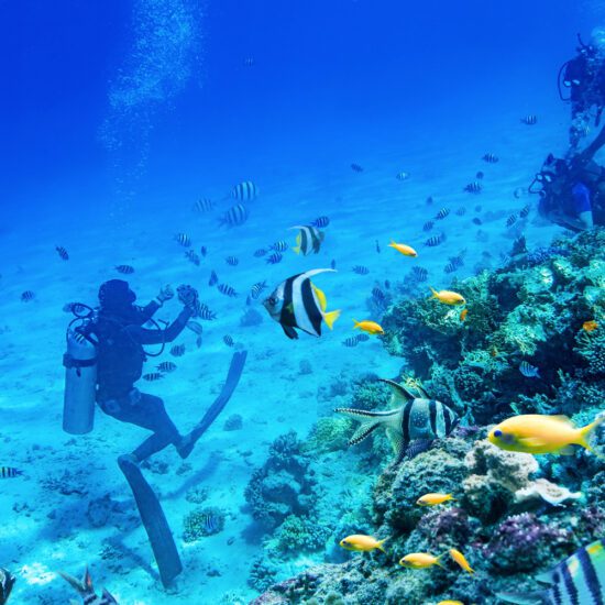Underwater Exploration in Hurghada - Scuba Diving in Hurghada