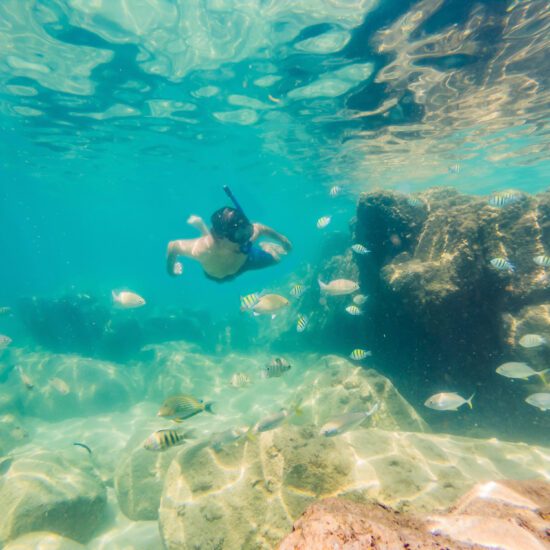 Hurghada's Scuba Adventures - Ideal for Your Scuba Diving in Hurghadaa