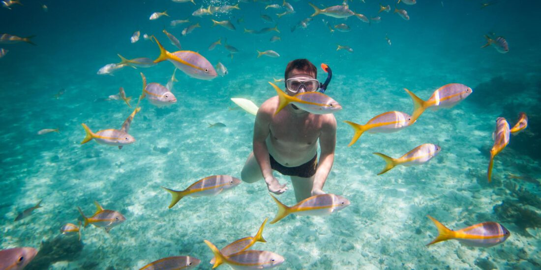 Snorkeling tour in Hurghada - Marine Life Encounte - hurghada snorkeling