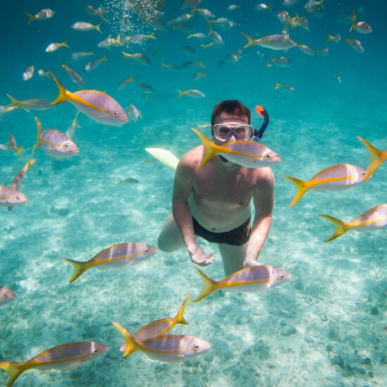 Snorkeling tour in Hurghada - Marine Life Encounte - hurghada snorkeling