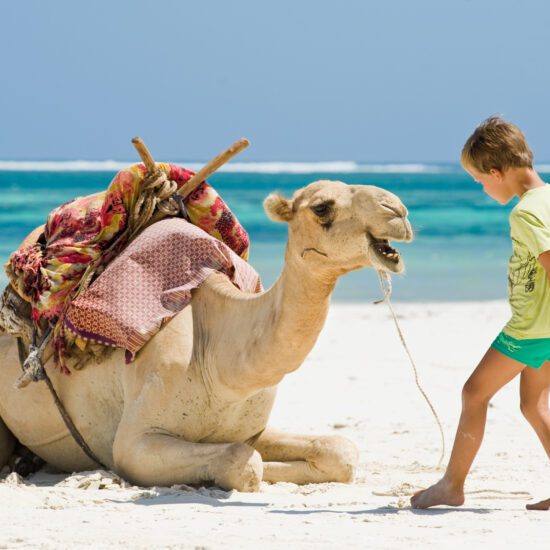 Camel Riding in Hurghada - Desert Safari and Quad Bike in Hurghada