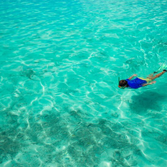 Snorkeling in Hurghada - Colorful Coral Reefs - hurghada snorkeling