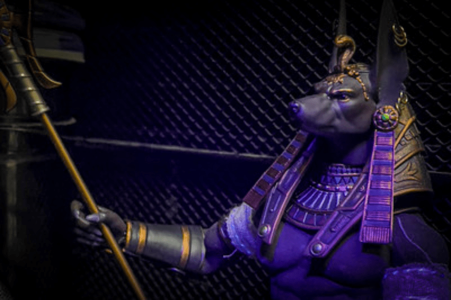 The Egyptian Dog God Anubis.
