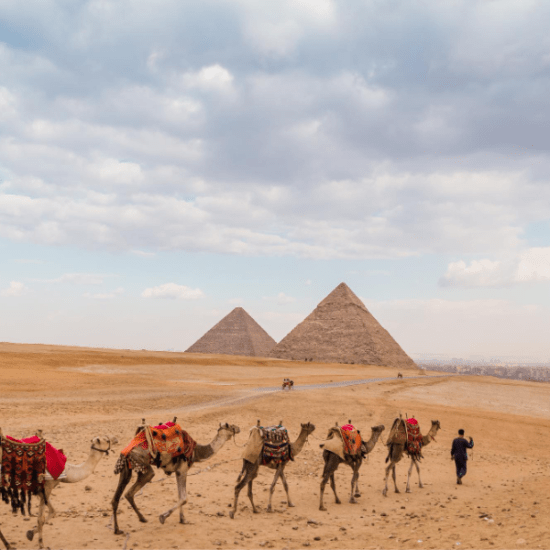 camel ride at giza pyramids
