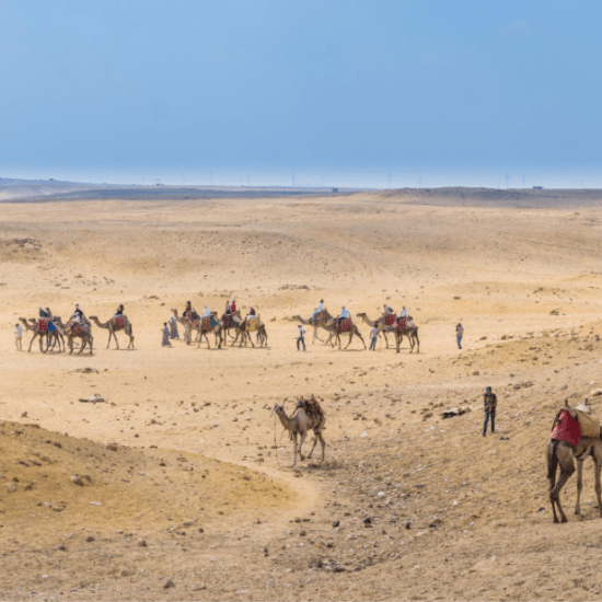 Camel Ride - camel ride at giza pyramids
