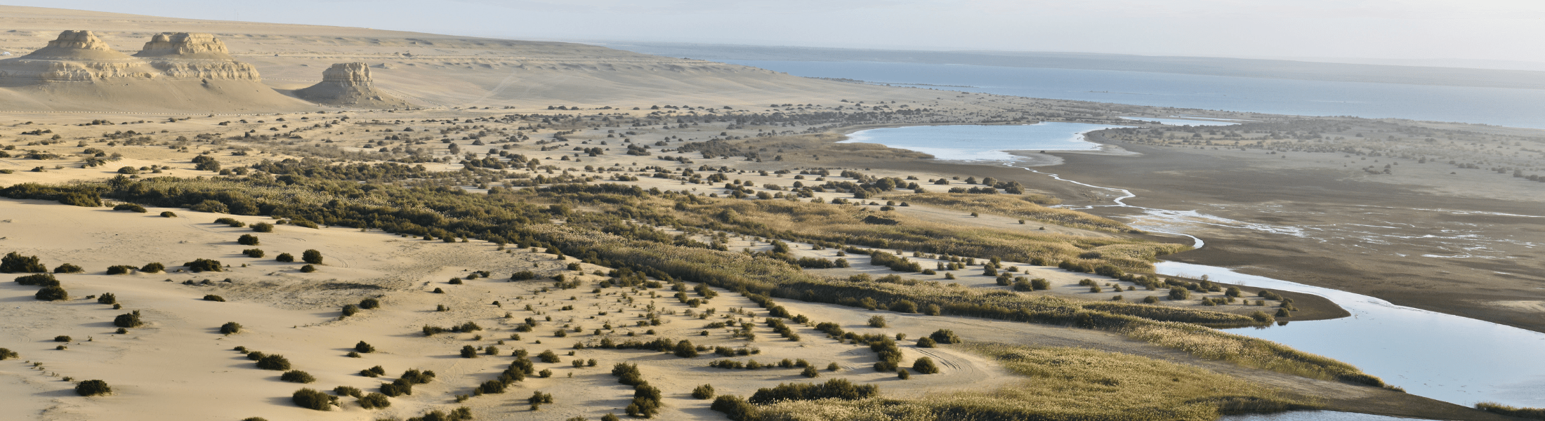 fayoum day trip from cairo - fayoum Oasis