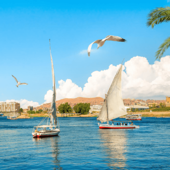 Felucca on Nile with Aswan views - Private felucca ride in aswan