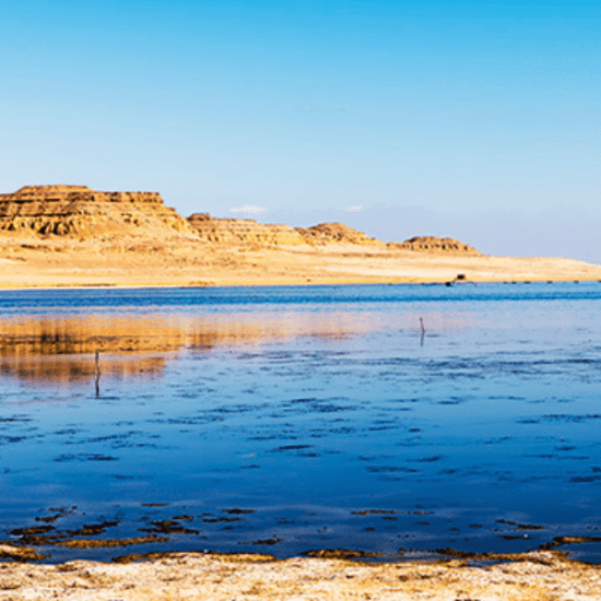 Qarun Lake - Fayoum Day Trip from Cairo