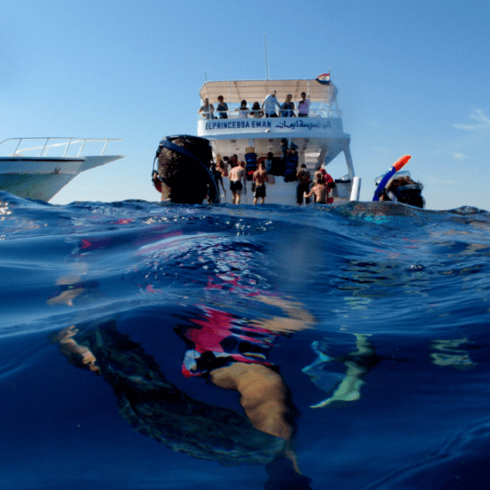 Snorkeling in Hurghada