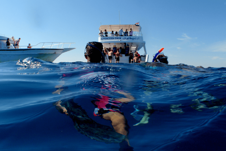 Snorkeling in Hurghada