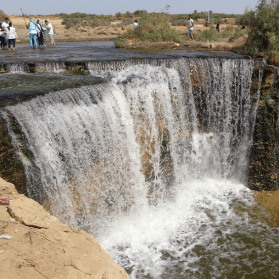 Exploring Fayoum Oasis on a Day Trip to Fayoum Oasis from Cairo - Wadi-El-Rayan