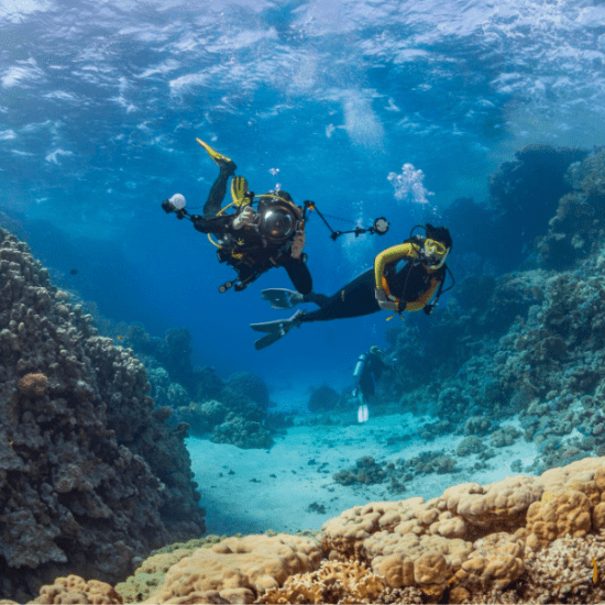 Diving in Hurghada Red Sea - Egypt Tours Group - 10 Days Cairo, Abu Simbel, Aswan, Luxor & Hurghada Tour
