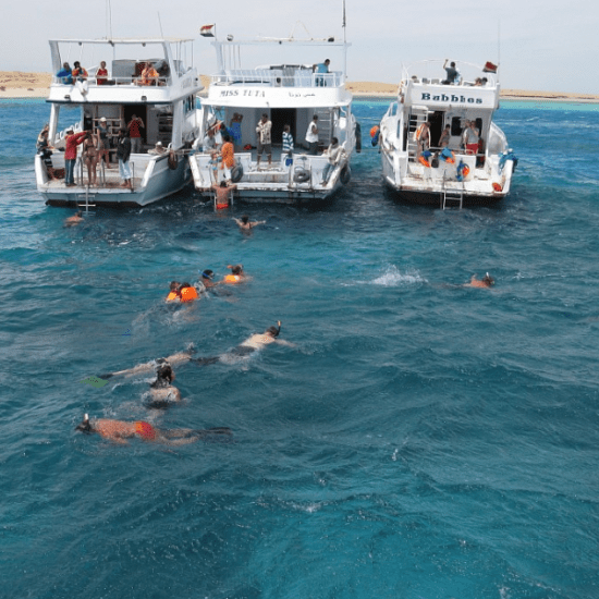 Snorkeling in the Red Sea at Hurghada - 8 Days Cairo, Nile Cruise and Hurghada Tour