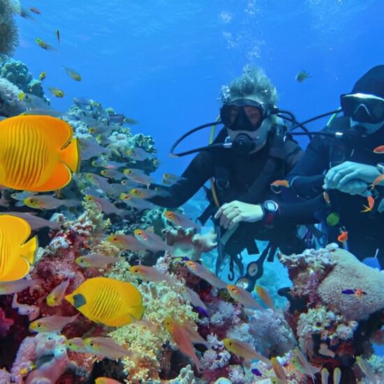 Mejor Itinerario de 8 Días en Egipto - Viaje a El Cairo, Luxor, Abu Simbel y Hurgada - Egypt Tours Group (ES)