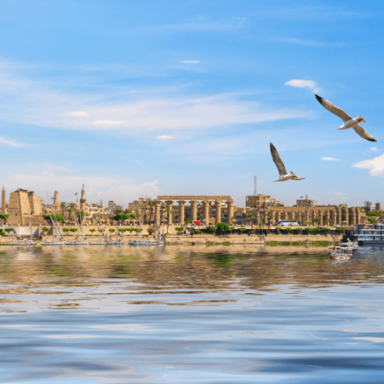 Nile River cruise to Luxor and Aswan - 8 Days Egypt Nile Cruise – Cairo, Luxor, Aswan & Abu Simbel