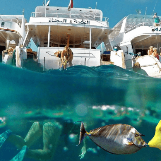 Snorkeling in Hurghada - 9 Days Cairo, Hurghada and Nile Cruise Tour Package