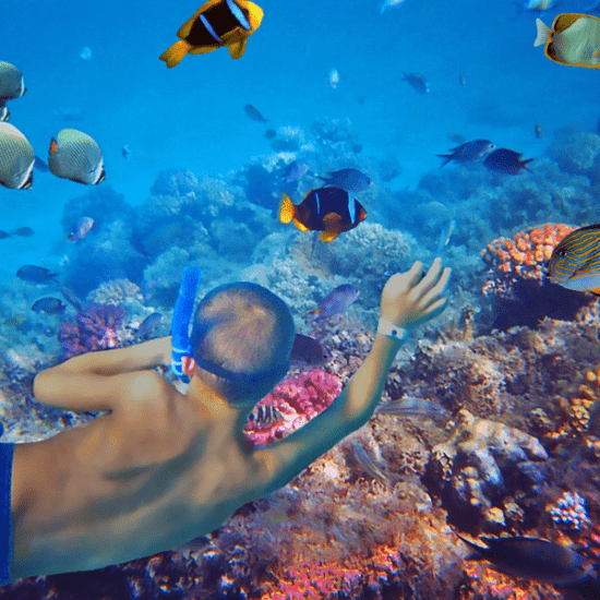 Snorkeling in Hurghada - 9 Days Cairo, Abu Simbel, Aswan, Luxor and Hurghada Vacation