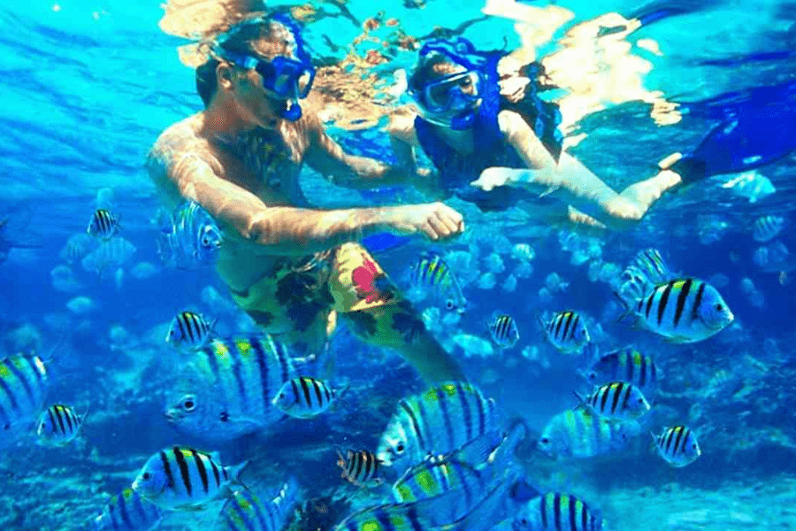 9 Days Egypt Tour: Cairo Luxor, and Hurghada Package - Snorkeling in Hurghada's Red Sea