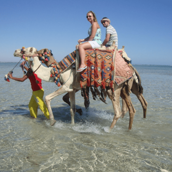 Tourists riding a camel in Red Sea, Sharm El Sheikh, 12 Days Cairo, Nile Cruise, and Sharm El Sheikh Holiday