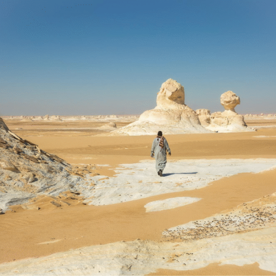 the white desert - 7 Days Cairo, Abu Simbel, Luxor & Bahariya Oasis Tour