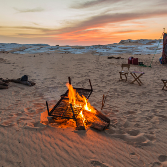 Bahariya Oasis surrounded by lush greenery and desert - 14 Days Cairo, Luxor, Hurghada & Oases Tour Package