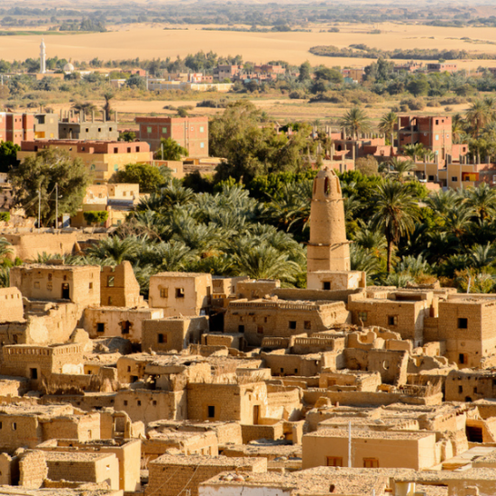 Ancient ruins and greenery at Dakhla Oasis - 14 days Egypt Tour package