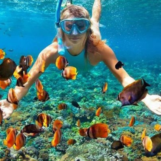 Snorkeling in the crystal-clear waters of Hurghada.