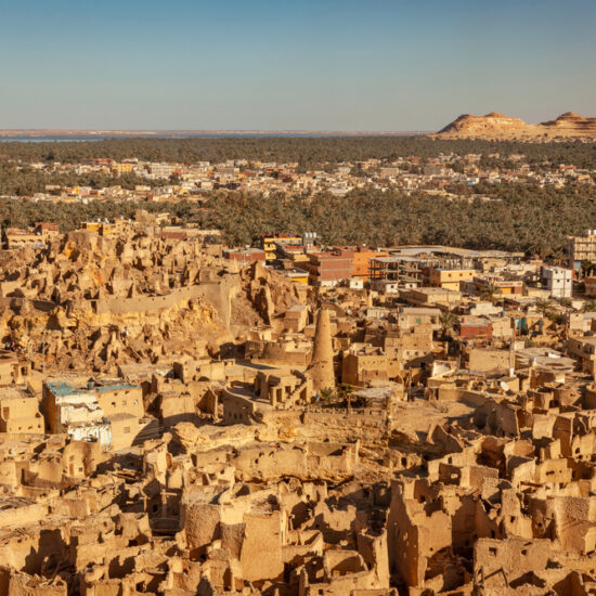 Lush palm trees and sand dunes at Siwa Oasis - 13 Days Egypt Holiday: Cairo, Alexandria, Siwa, Abu Simbel & Luxor