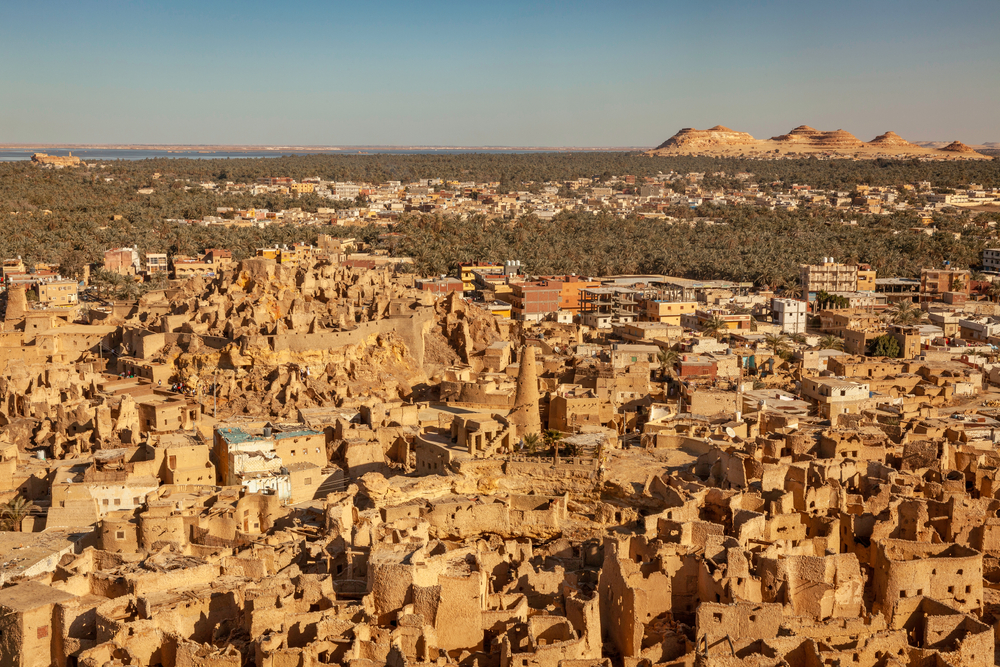 Lush palm trees and sand dunes at Siwa Oasis - 13 Days Egypt Holiday: Cairo, Alexandria, Siwa, Abu Simbel & Luxor