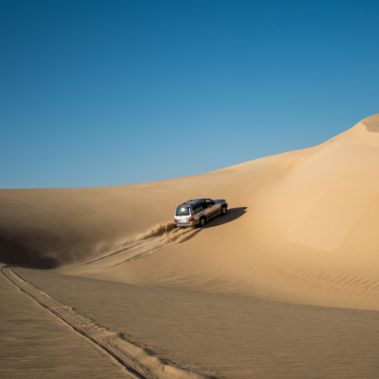 The serene beauty of Siwa Oasis surrounded by palm trees - 16 Days Cairo, Nile Cruise, Hurghada & Siwa with Grand Egyptian Museum Tour