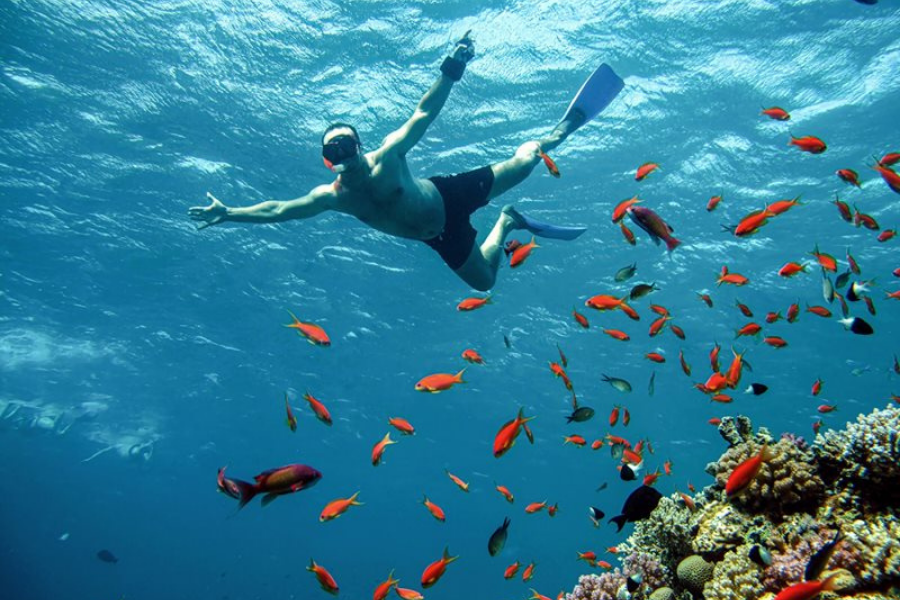 Snorkelers exploring vibrant coral reefs in Hurghada - 14 Days Cairo, Luxor, Hurghada & Oases Tour Package