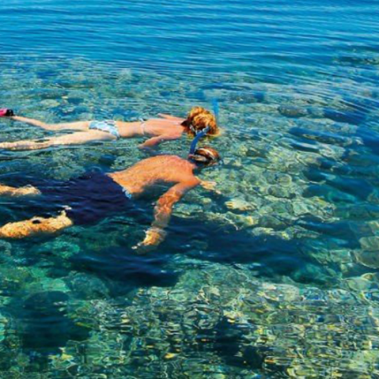 Vibrant coral reefs during a snorkeling trip in Hurghada - 16 Days Cairo, Nile Cruise, Hurghada & Siwa Tour Package