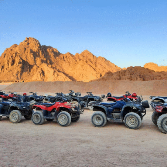 Sharm El Sheikh Safari - Adventure in the heart of the desert - 15 Days Cairo, Sharm El Sheikh, Nile Cruise & Alexandria Tour Package