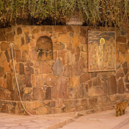 ree of Moses - A symbol of history and faith - 15 Days Cairo, Sharm El Sheikh, Nile Cruise & Alexandria Tour Package