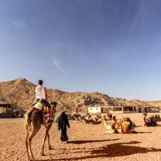 Bedouin village experience in Egypt - 15 Days Cairo, Luxor, Aswan, Abu Simbel, Hurghada & Alexandria