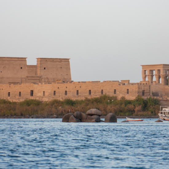 The Philae Temple in Aswan, Egypt, dedicated to the goddess Isis, surrounded by clear waters.