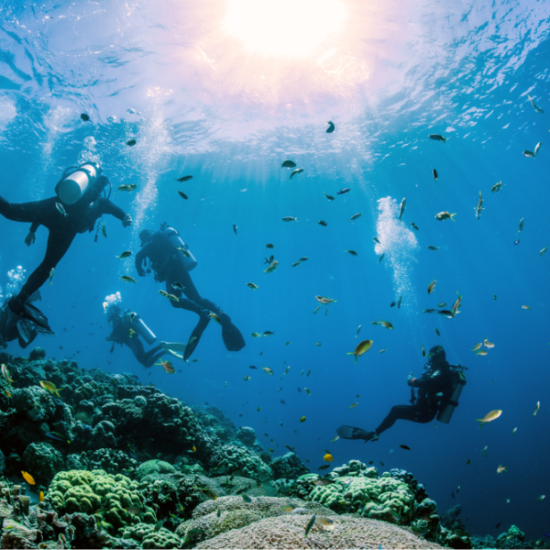 Scuba diving in the Red Sea - 15 Days Cairo, Luxor, Aswan, Abu Simbel, Hurghada & Alexandria Tour Package