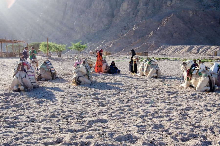 Turismo en Safaga - Egypt Tours Group (ES)