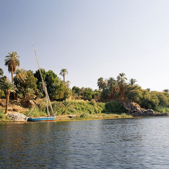 Elephantine Island – Ancient Nile Treasure - Nile Boat Trip to Aswan Botanical Garden