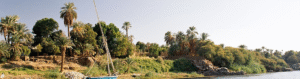 Aswan Botanical Garden Nile Boat Trip