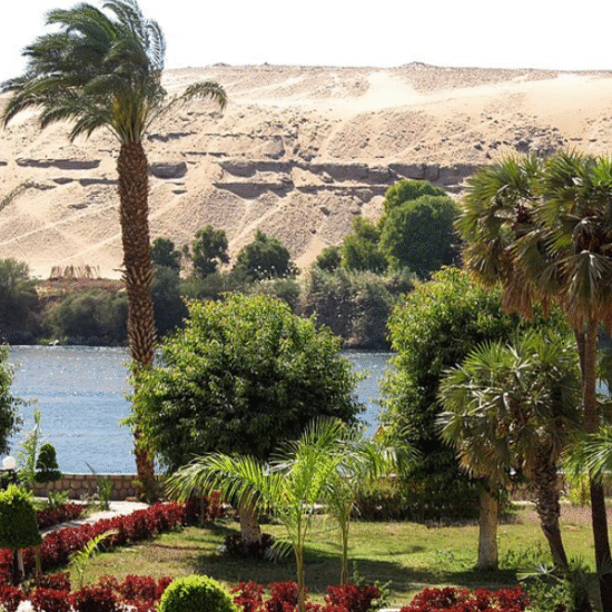 Kitchener Island – Aswan’s Hidden Green Gem - Aswan Botanical Garden Nile Boat Trip
